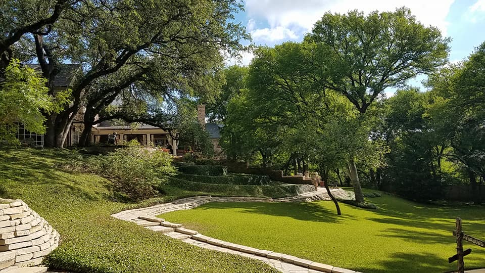 Southern Charm Tree Care