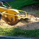 Stump Grinding