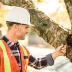 Complete Tree Care