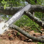 Preventative Tree Services