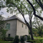 Apartment Building Tree Services