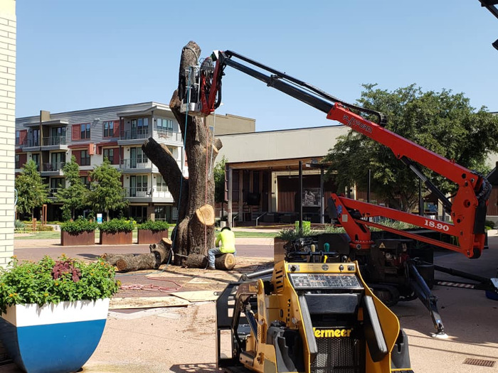 Save on Commercial & Residential Tree Services This Winter