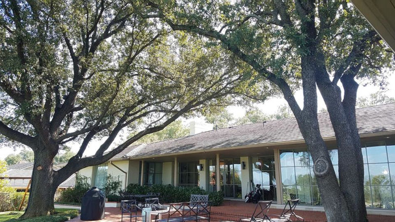 3 Signs You Need a Tree Branch Removal Service